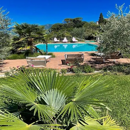 فيلة Very Pretty Spoleto-poolside-sleeps-20pool, Jacuzzi, Gardens - Views سبوليتو