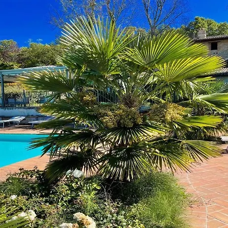 Very Pretty Spoleto-poolside-sleeps-20pool, Jacuzzi, Gardens - Views فيلة *